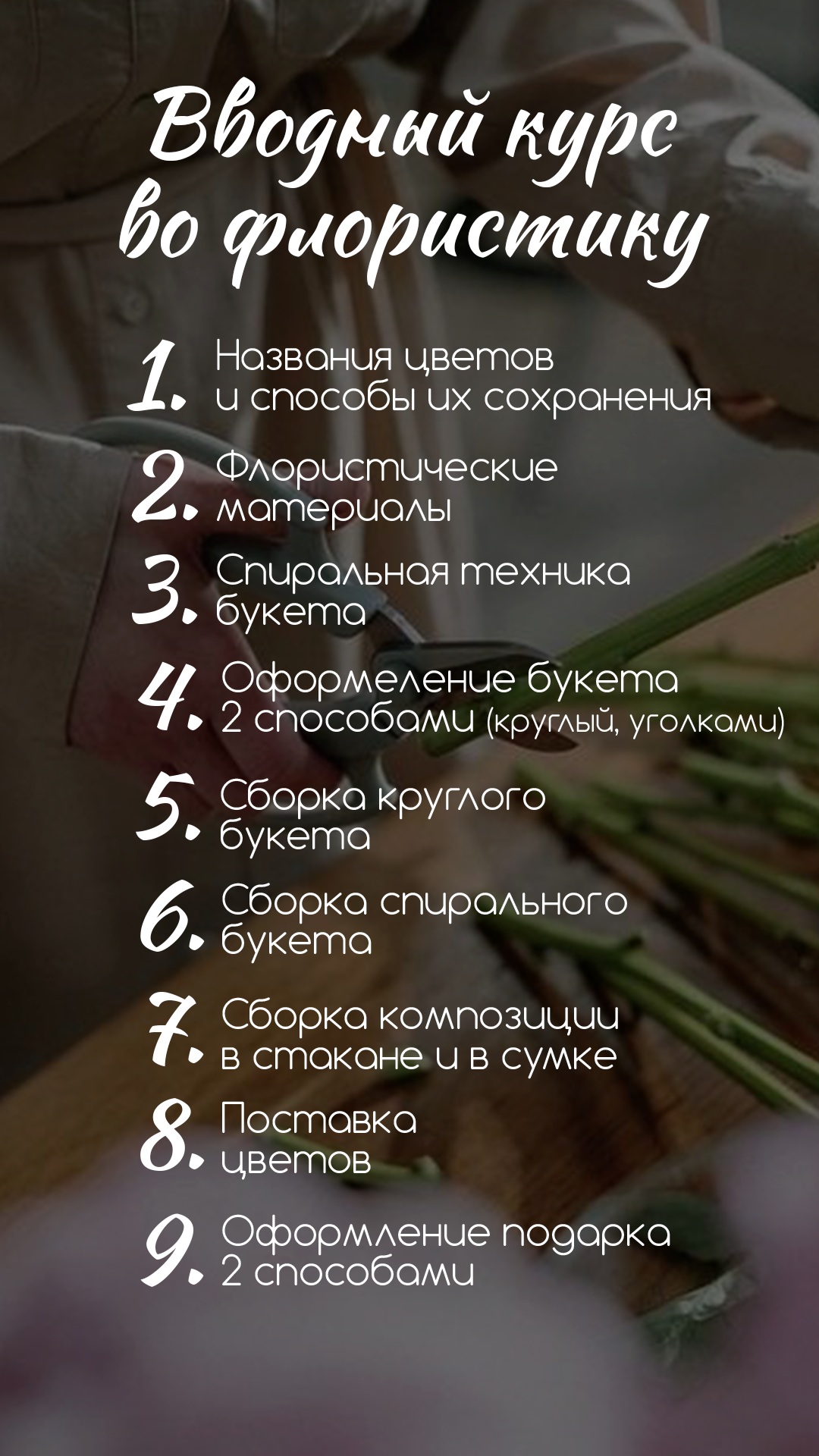 Вводный
