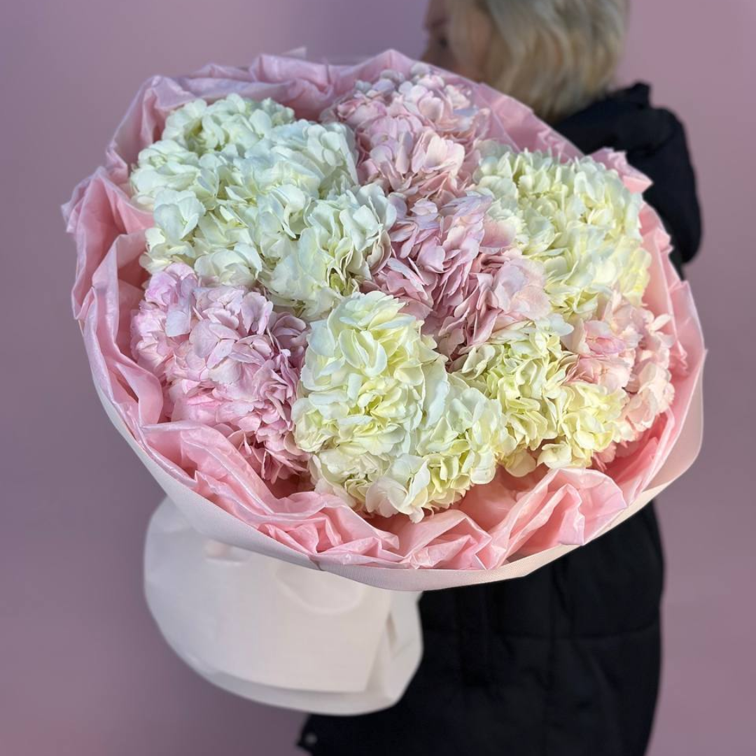 Большая гортензия 