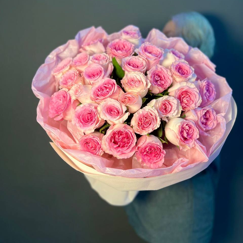 31 Роза Эквадор