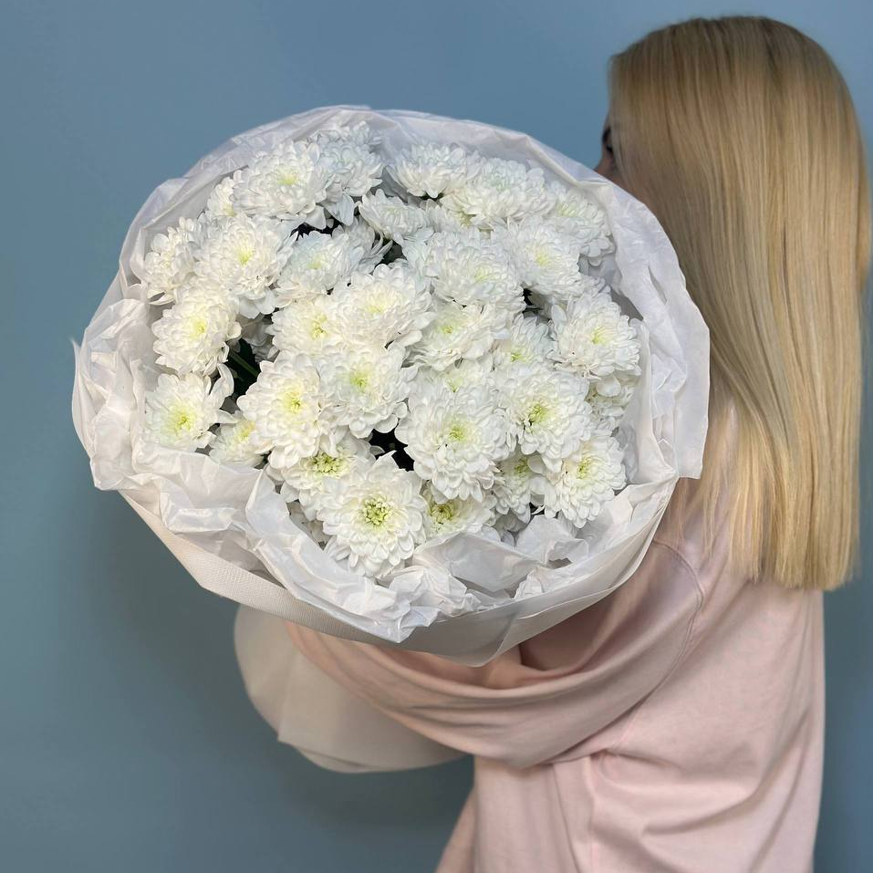 5 белоснежных хризантем