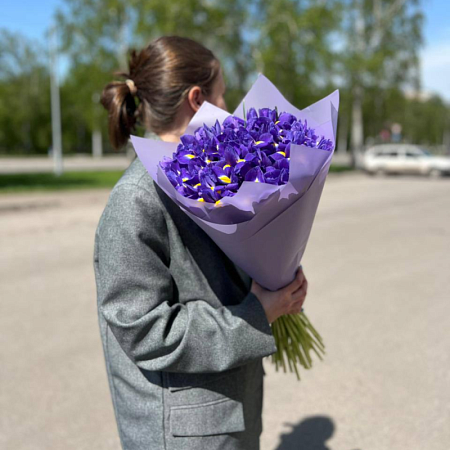 41 ирис 