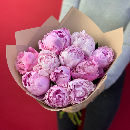 Пиономания №6