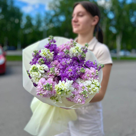 Маттиола