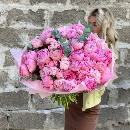 Пиономания №8