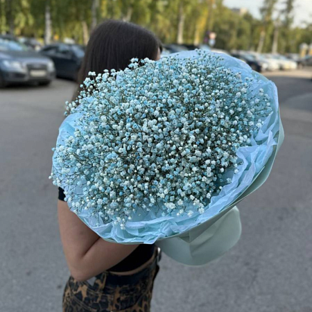 15 веток гипсофилы 