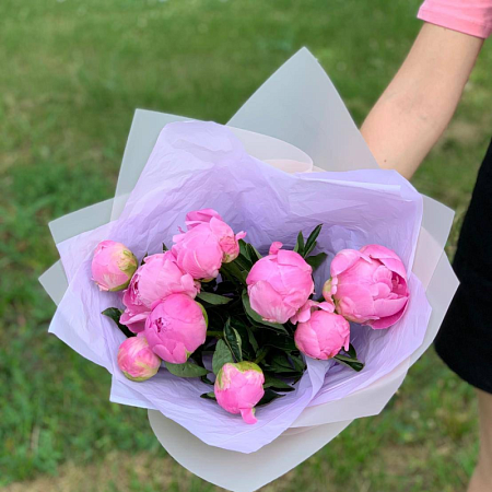 Пиономания №5