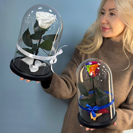 Роза в колбе из мультика