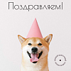 Открытки (примеры открыток внутри)