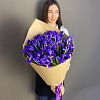 31 ирис