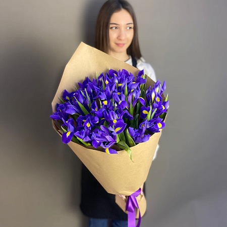 31 ирис