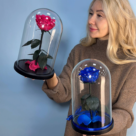 Роза в колбе из мультика