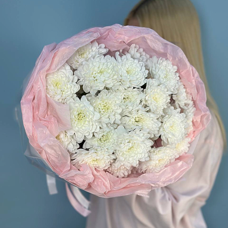 5 кустовых хризантем