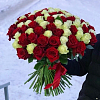 101 роза 50 см