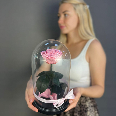 Роза в колбе из мультика