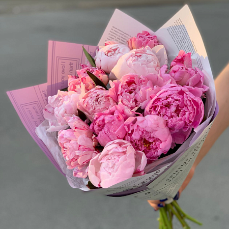 Пиономания №2