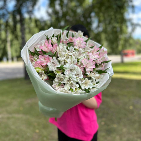 21 альстромерия 