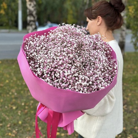 Гипсофилы №8