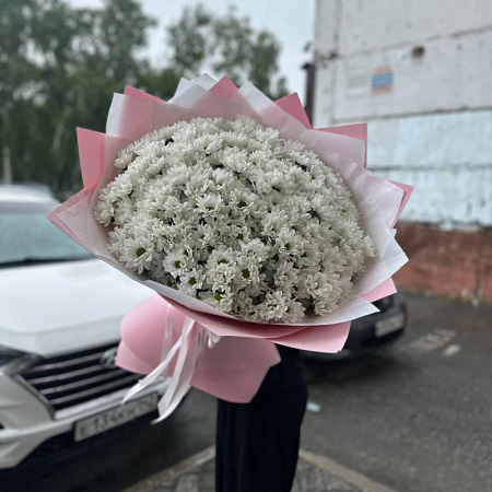 31 хризантема ромашковая 