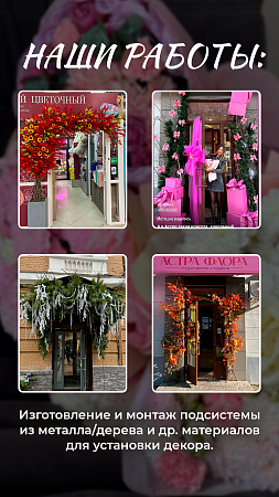 Витринистика