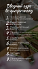 Вводный