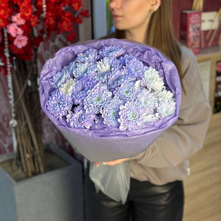 5 сиреневых хризантем 