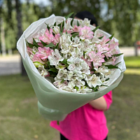 Альстромерии