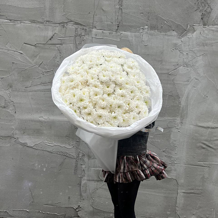 25 хризантем 