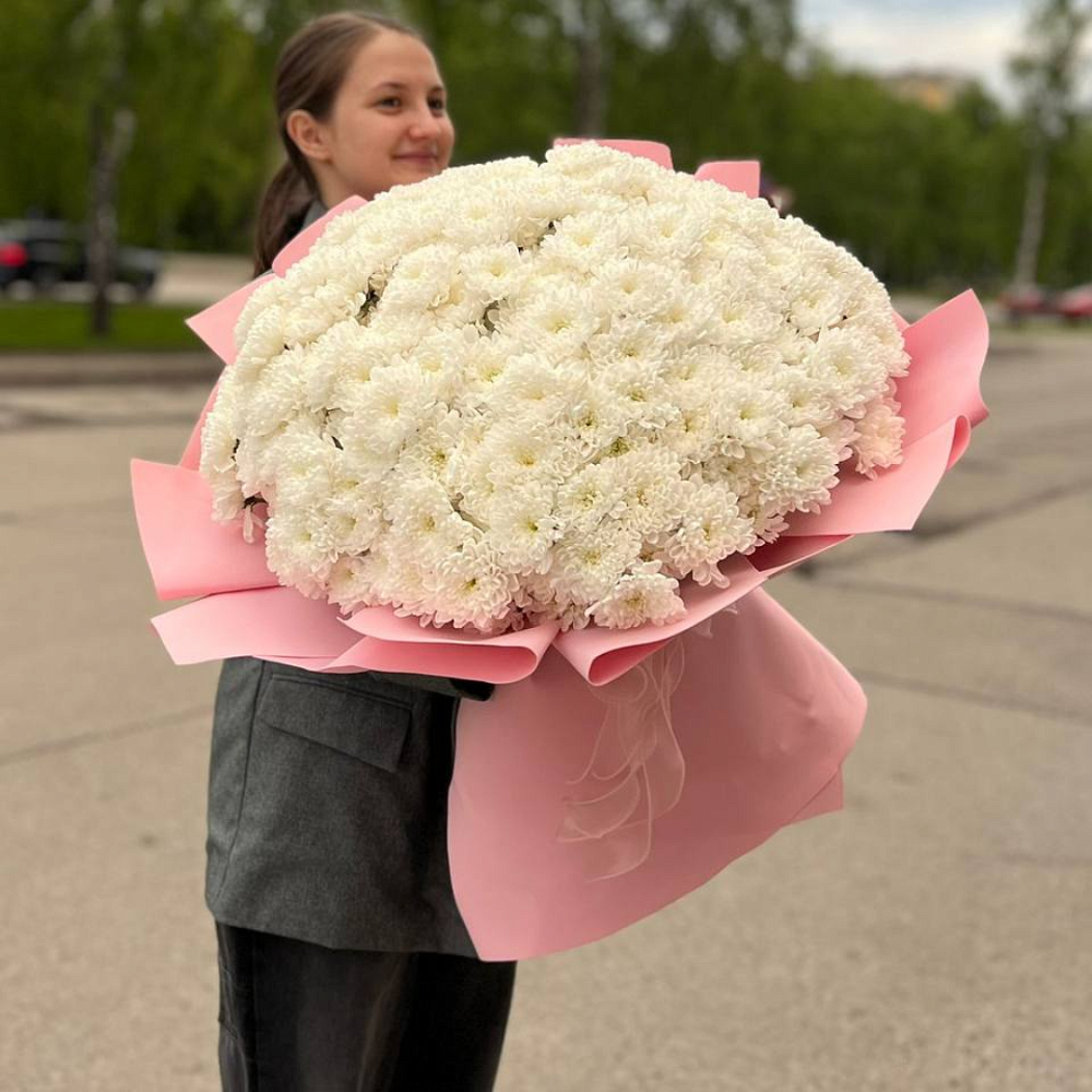 51 хризантема 