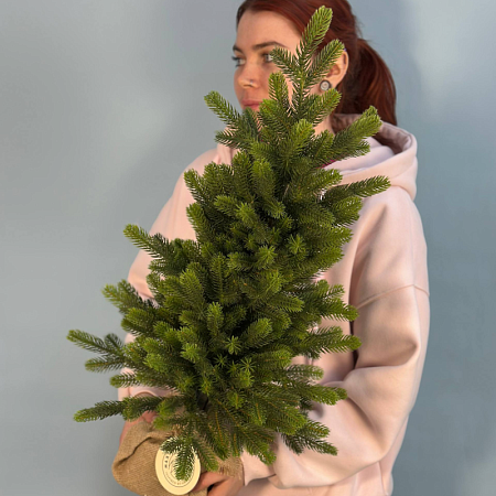 Искусственная ель 70 см