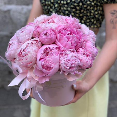 Пиономания №3